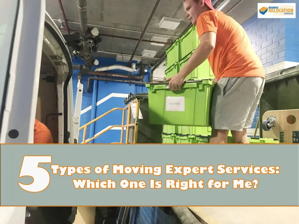 Different Types of Moving Companies