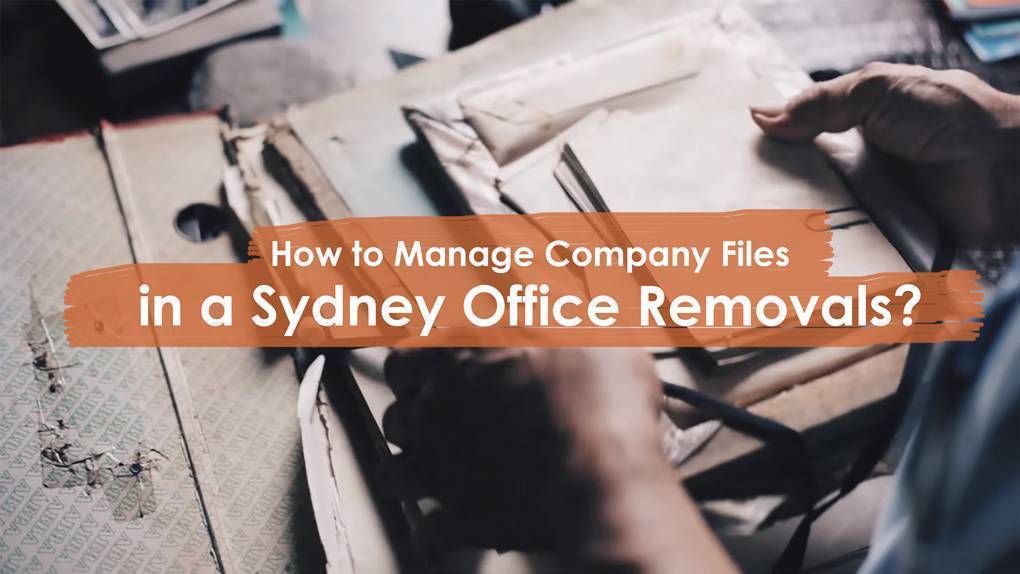 Managing Company Files During Office Removal